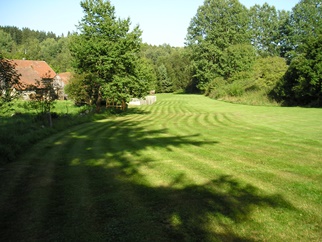 Sečení trávy